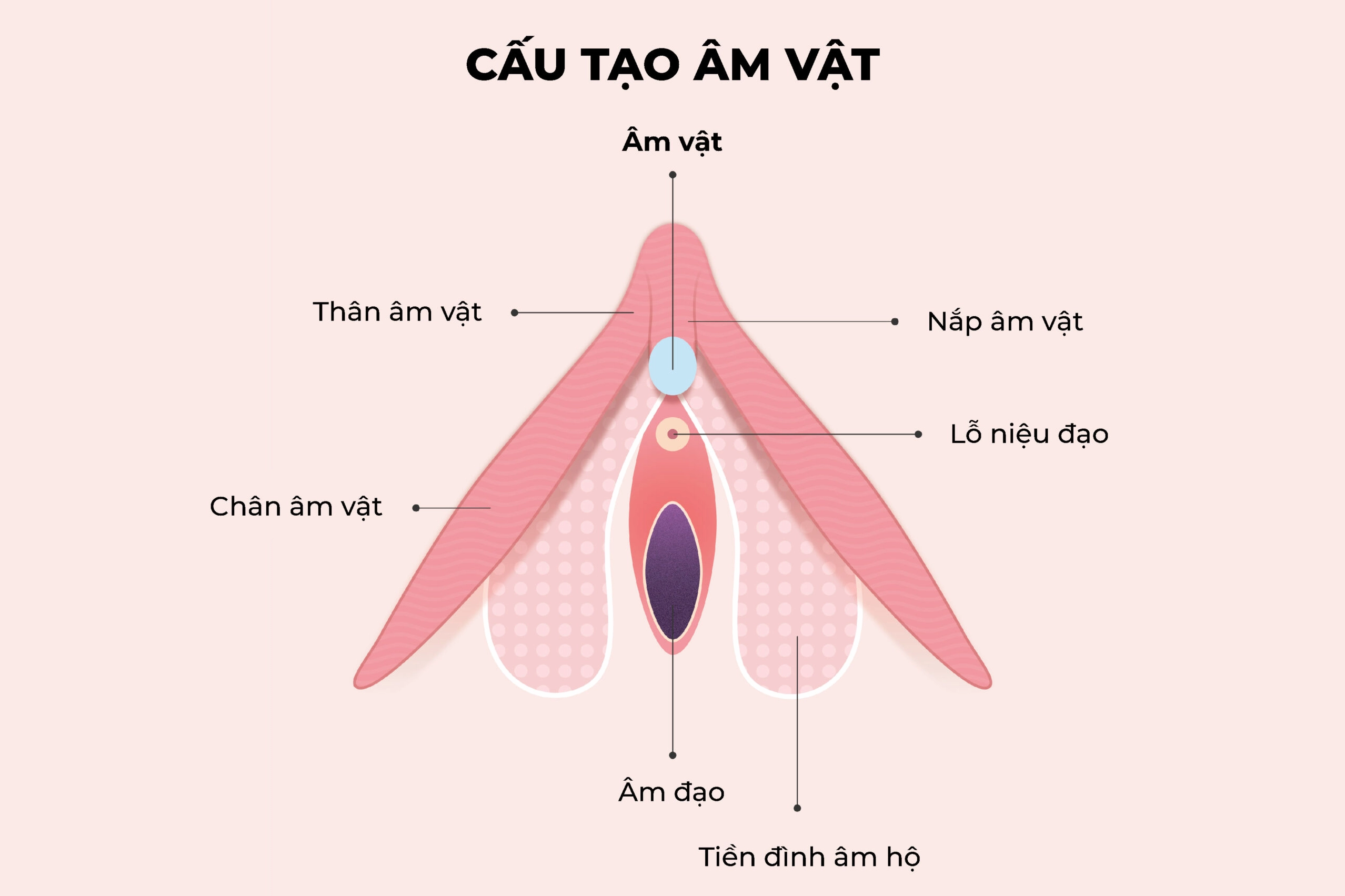 Lời khuyên chăm sóc sức khỏe sinh sản