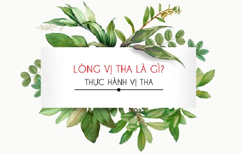 long-vi-tha-la-gi-kham-pha-suc-manh-chua-lanh-va-ket-noi_811