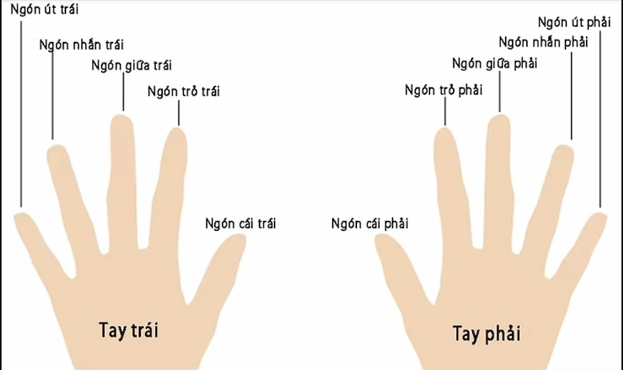 Lựa chọn nhẫn đeo ngón giữa