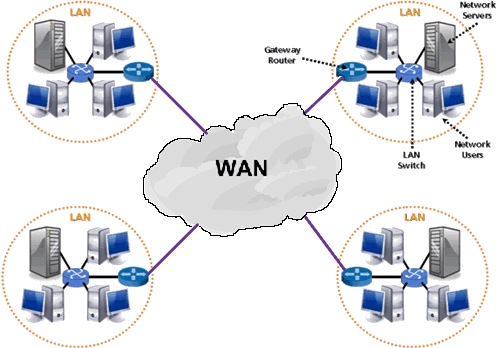 mang-wan-la-gi-kien-thuc-chuyen-sau-va-ung-dung-thuc-te-2026_342