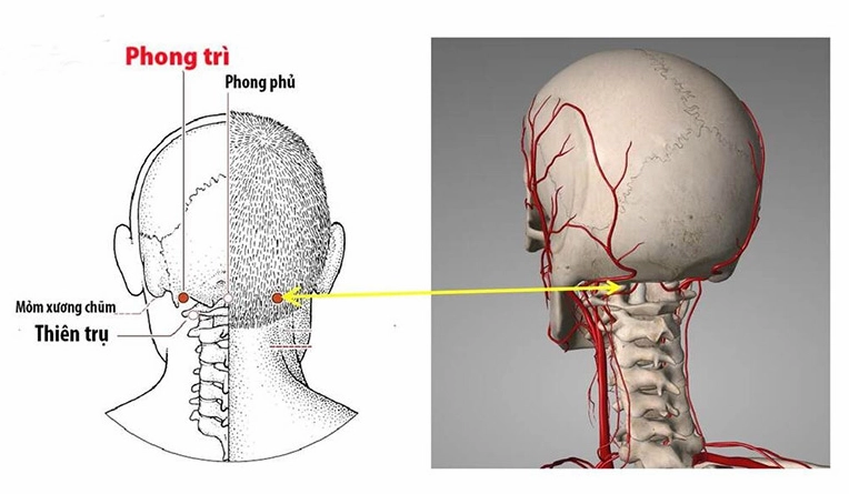 Minh họa người đang thư giãn sau khi tác động lên huyệt Phong Trì