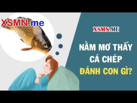 Mơ thấy cá chép lớn trong ao nước
