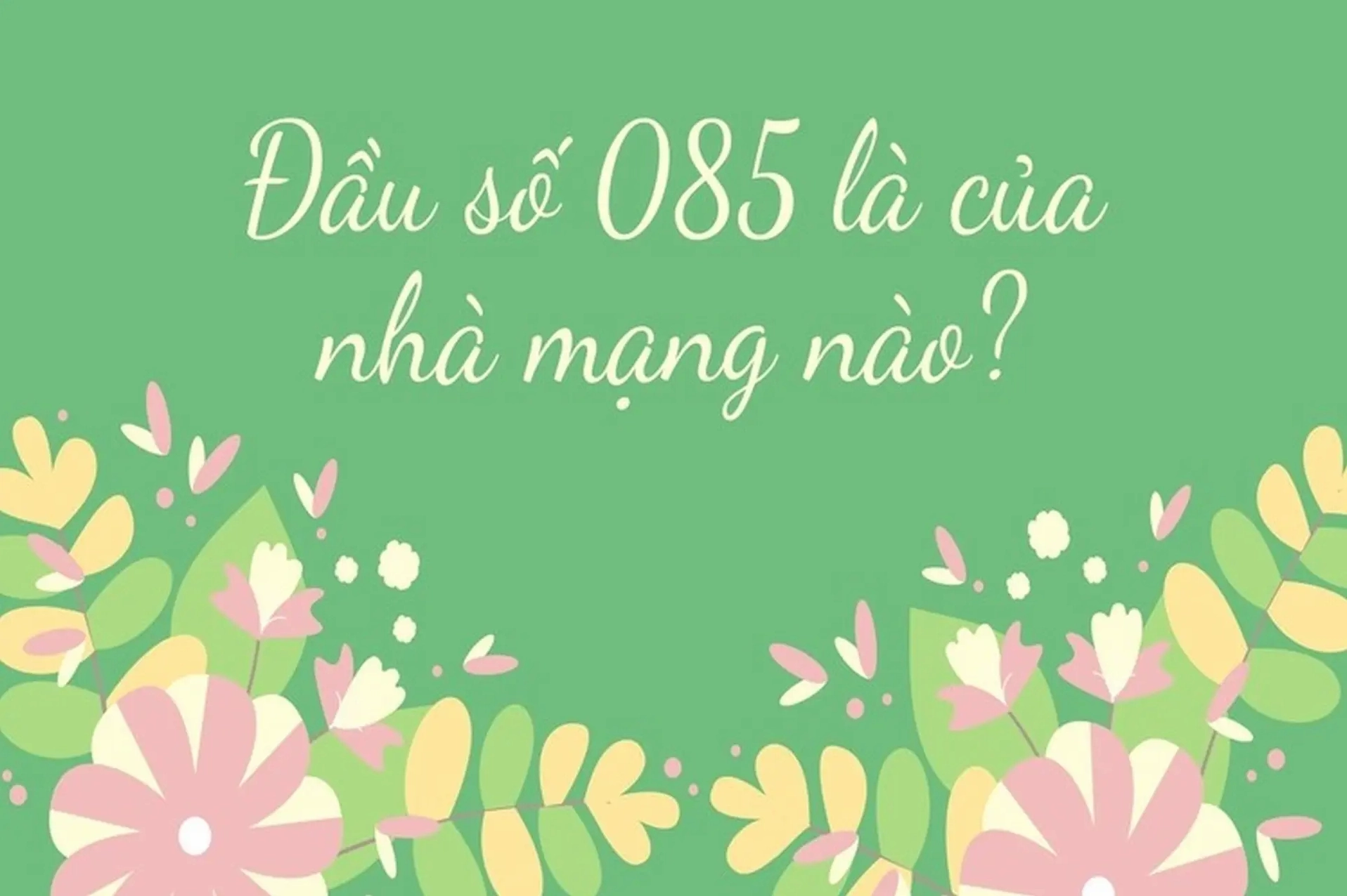 Mua sim đầu số 085