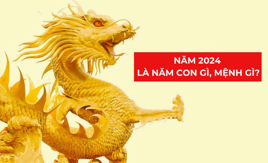 Năm 2024 con gì mạng gì?