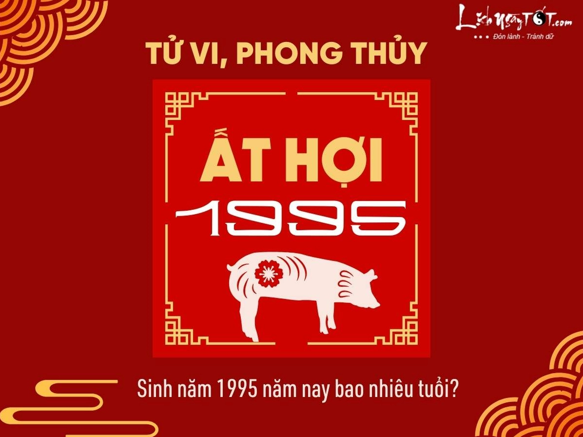 Nam sinh 1995 bao nhiêu tuổi năm nay?