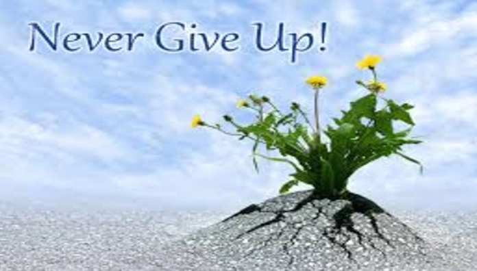 never-give-up-la-gi-y-nghia-sau-sac-bi-quyet-vuot-kho-2026_386