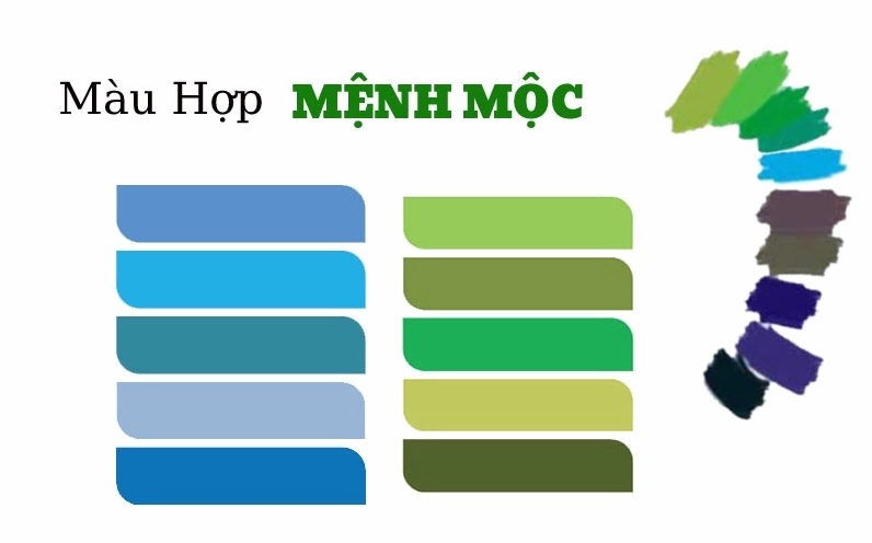 Người mệnh Mộc với gam màu xanh dương và đen