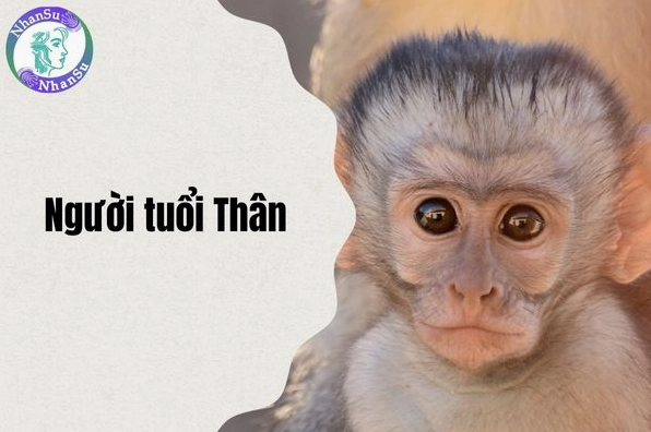 Người tuổi Thân làm việc chăm chỉ, đạt được thành công