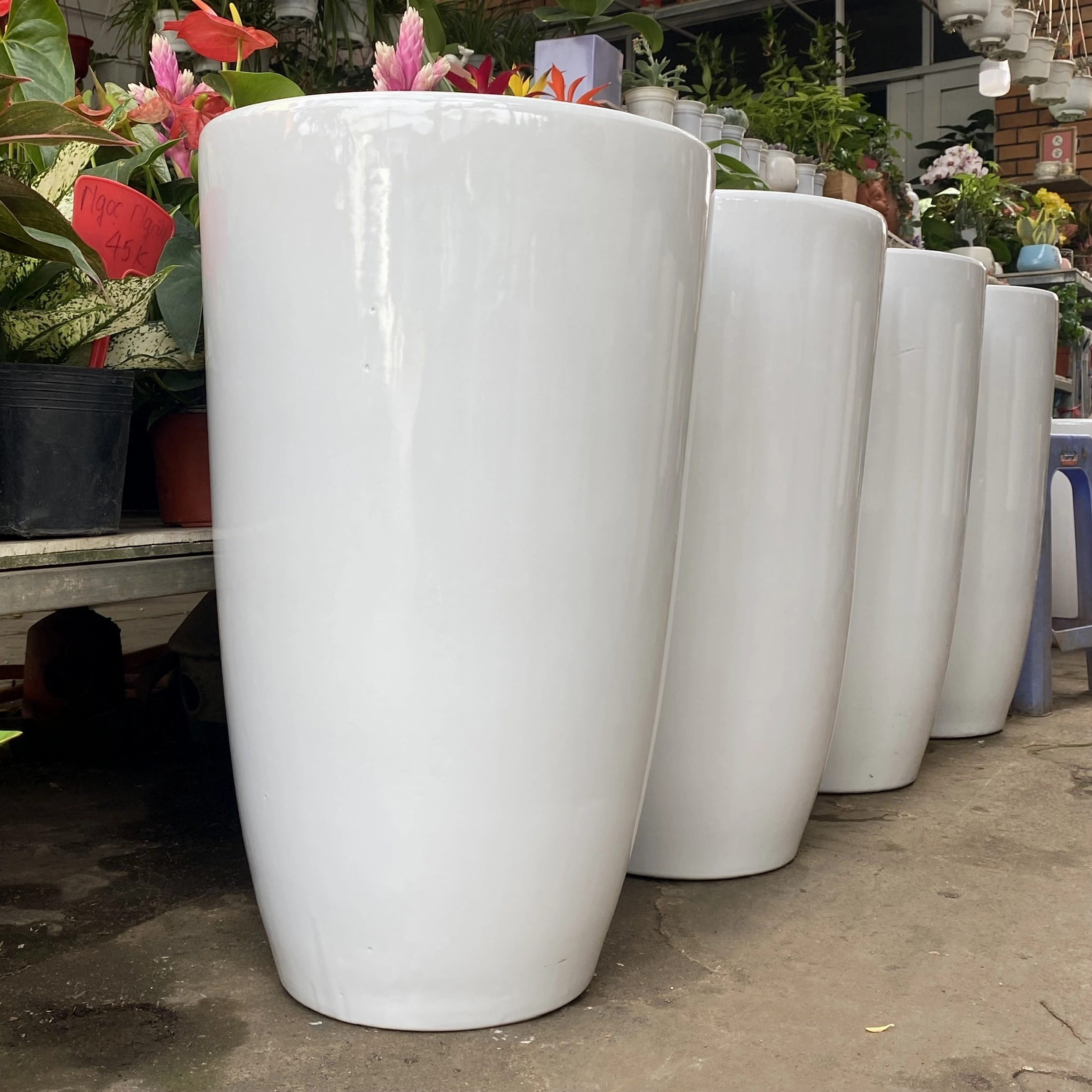 Nhiều chậu sứ trồng cây với kích thước khác nhau