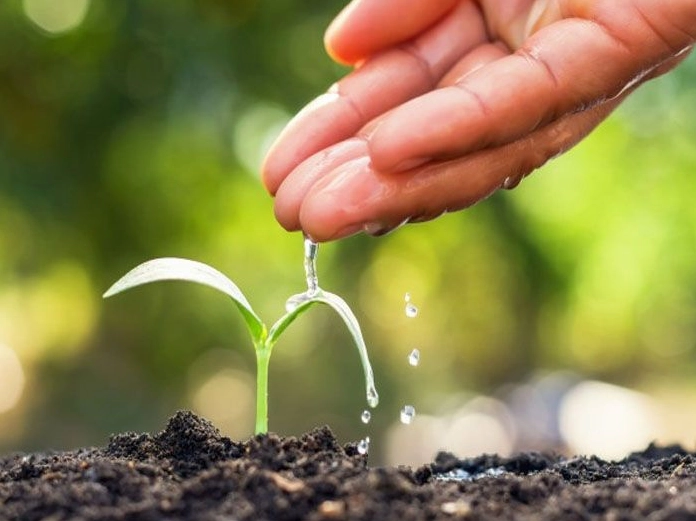 Những người cùng nhau làm việc tốt