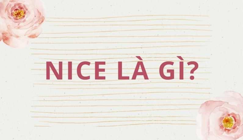 nice-la-gi-giai-ma-y-nghia-va-cach-dung-chuan-nhat-2026_761