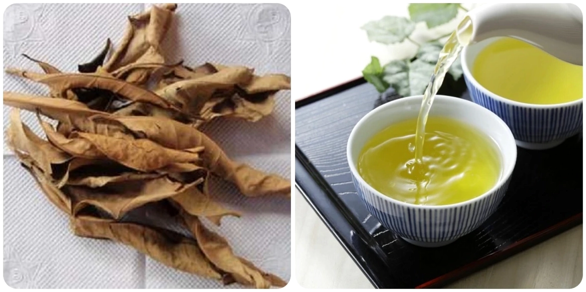 Nước vối giúp tiêu hóa tốt sau bữa ăn