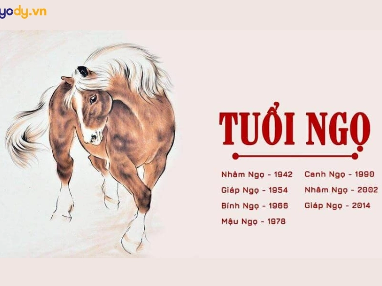 Đồ họa tuổi Ngọ