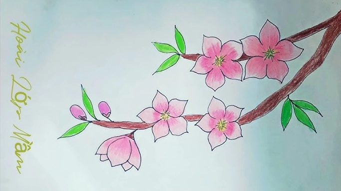 Phác thảo cấu trúc cành đào