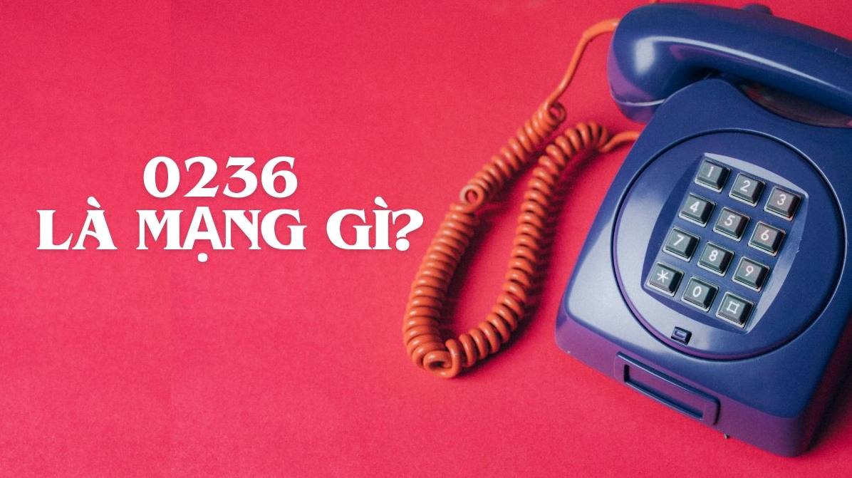 Phân biệt đầu số cố định và di động