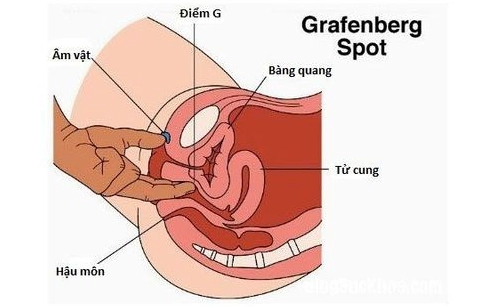 Phụ nữ đi khám sức khỏe định kỳ