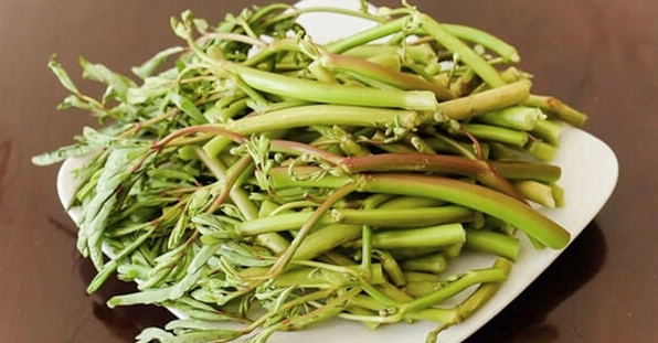 Rau nhút tươi xanh