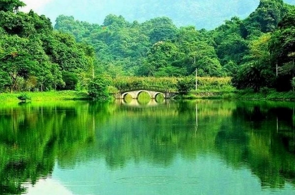 Rừng Cúc Phương xanh mướt vào mùa hè