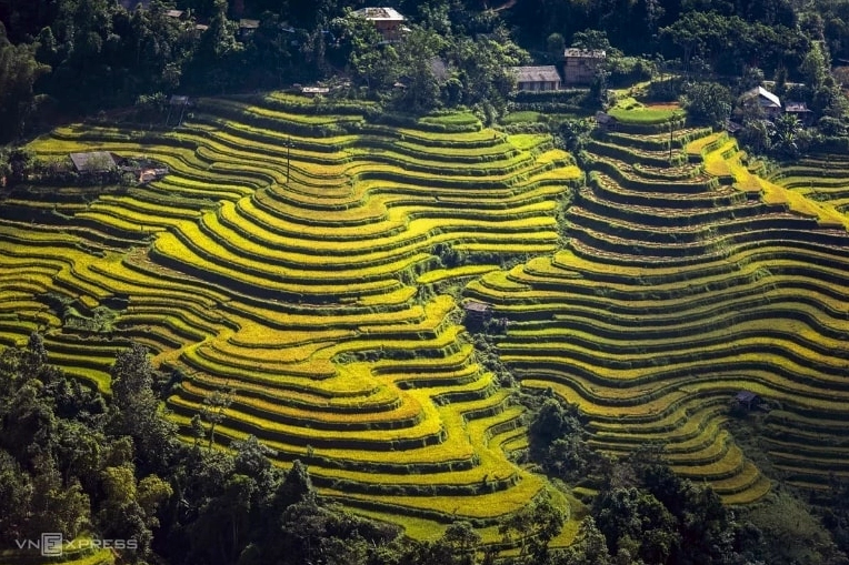 Ruộng bậc thang Hoàng Su Phì mùa lúa chín