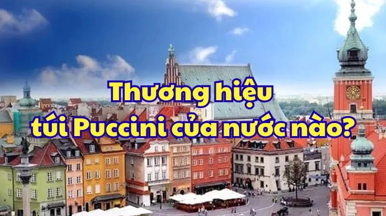 Sự đa dạng trong thiết kế của túi Puccini