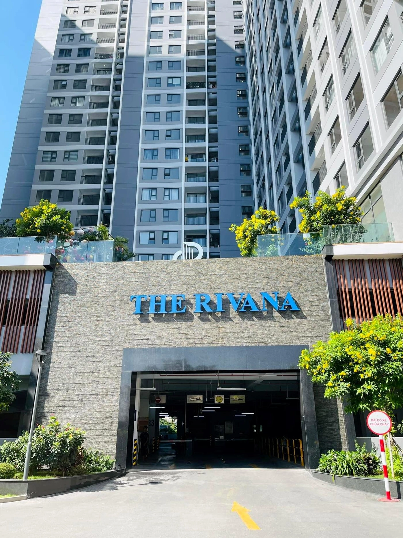 Tiện ích hồ bơi tại chung cư Rivana