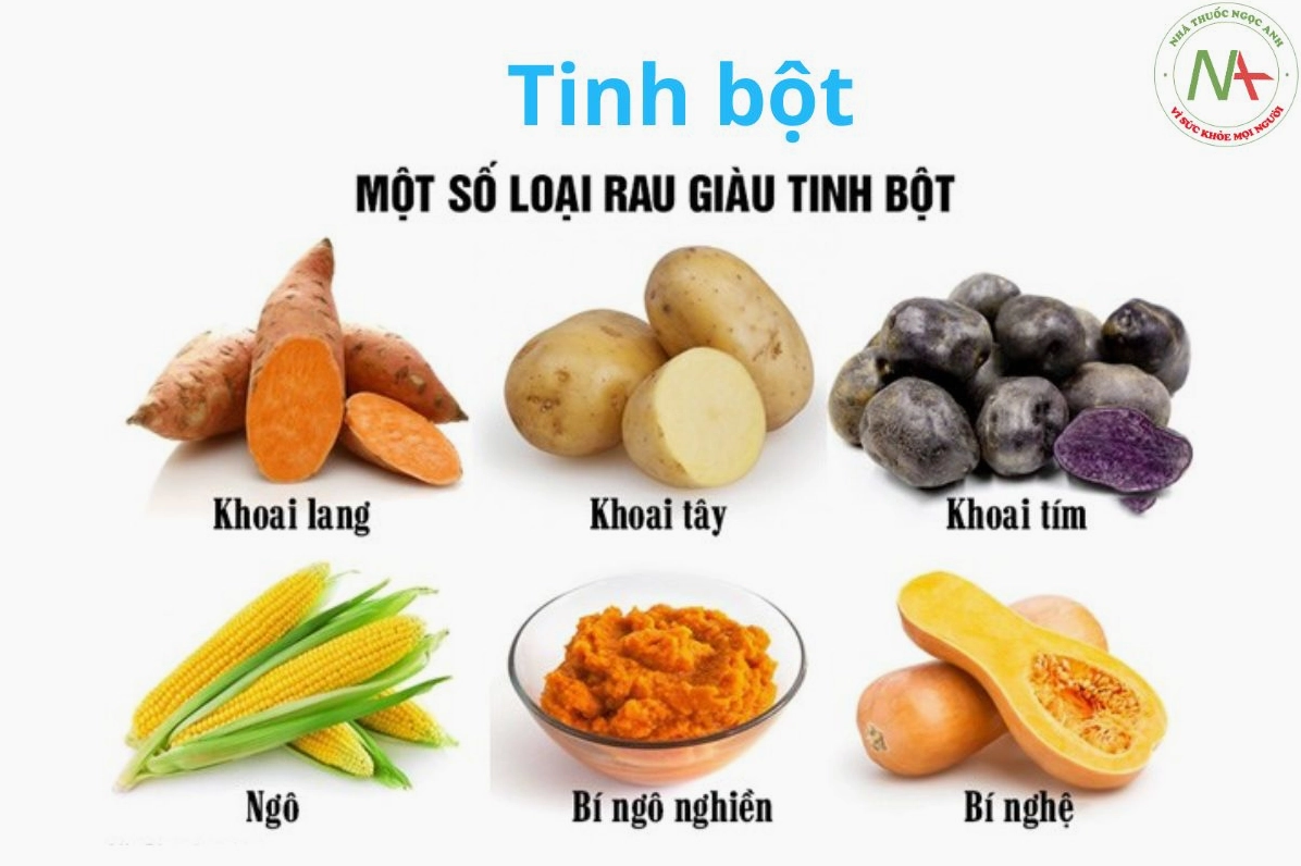 tinh-bot-la-gi-phan-tich-chuyen-sau-tu-a-z-chuan-2026_792