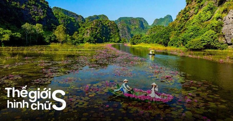 Toàn cảnh Tam Cốc Ninh Bình mùa lúa chín