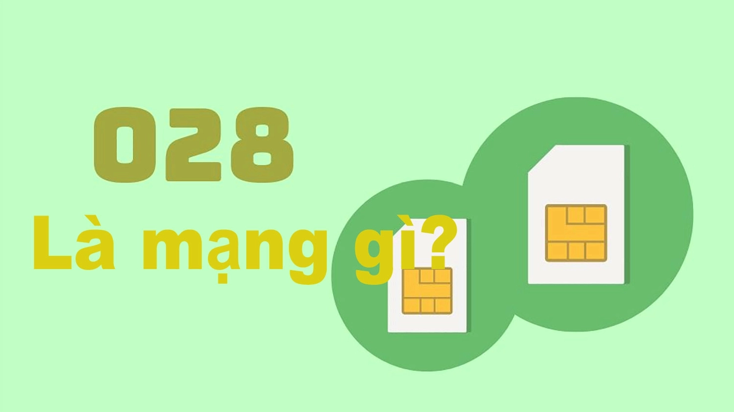 Tổng quan về các loại đầu số điện thoại tại Việt Nam