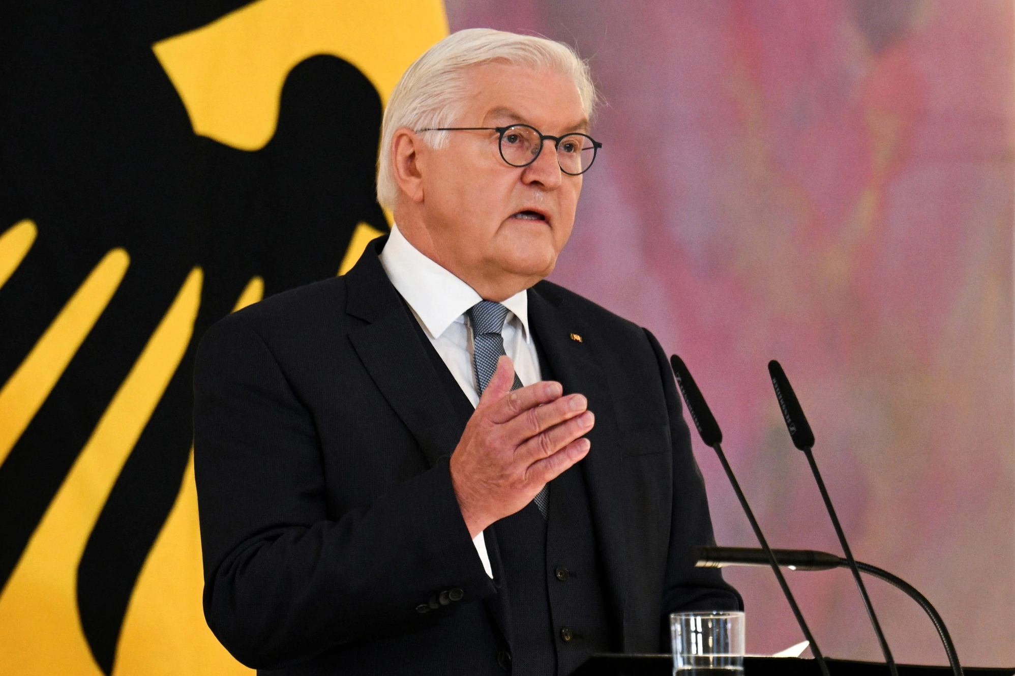 Tổng thống Đức Frank-Walter Steinmeier trong một sự kiện