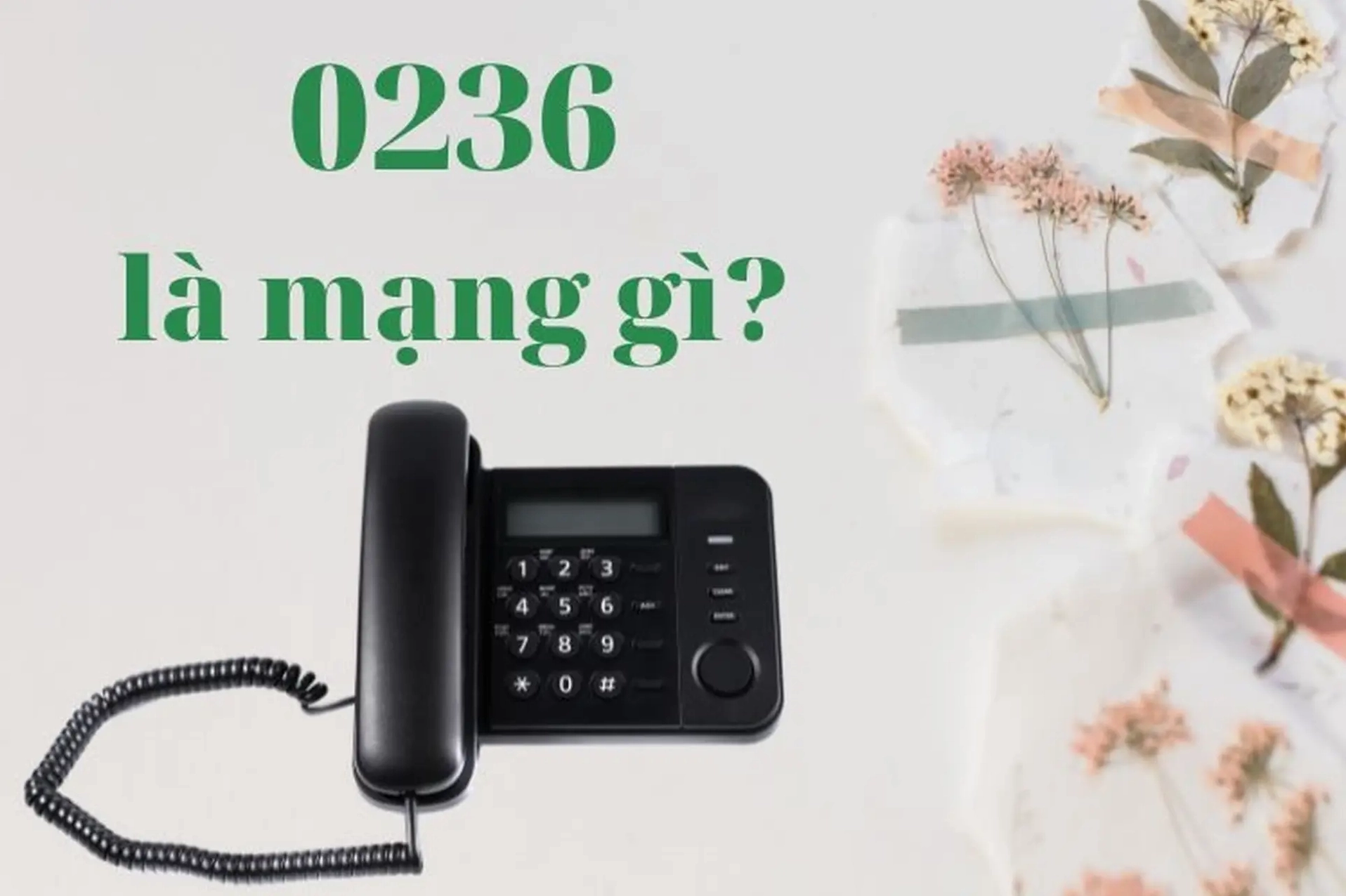 Tra cứu đầu số 0236 là mạng gì