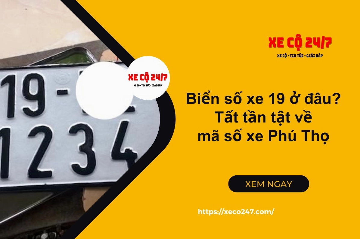 Tra cứu biển số xe 19