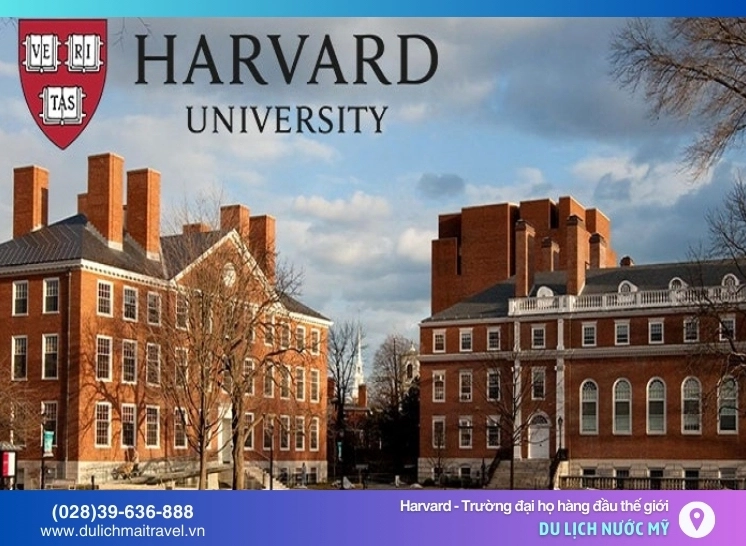 truong-ai-hoc-harvard-nam-o-bang-nao-cua-nuoc-my-kham-pha-ch_325