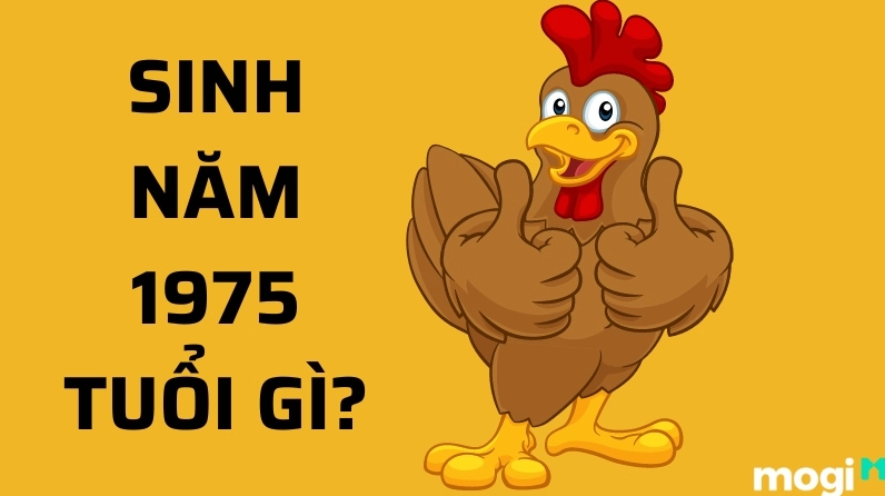 tuoi-dau-sinh-nam-bao-nhieu-giai-ma-tron-bo-tu-a-z-nam-2026_672