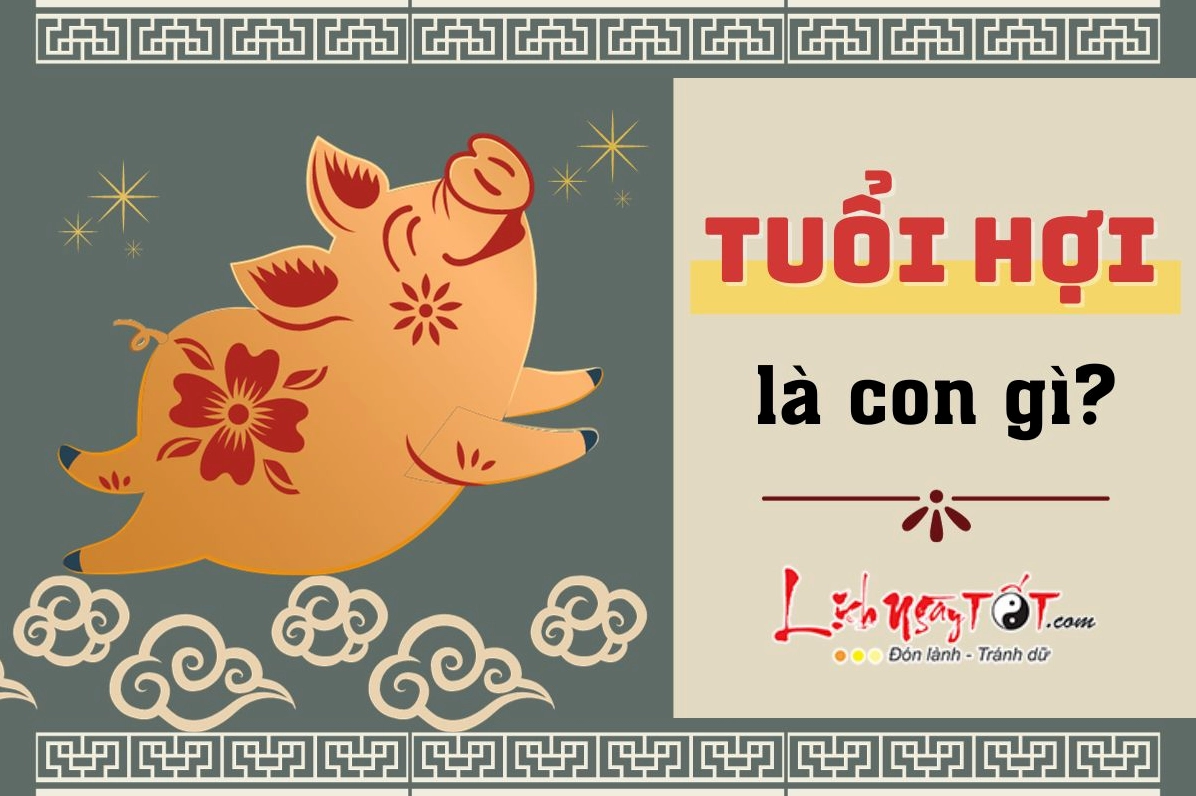 Tuổi Hợi là con gì?