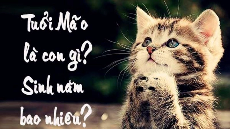 Tuổi Mão hợp với tuổi nào