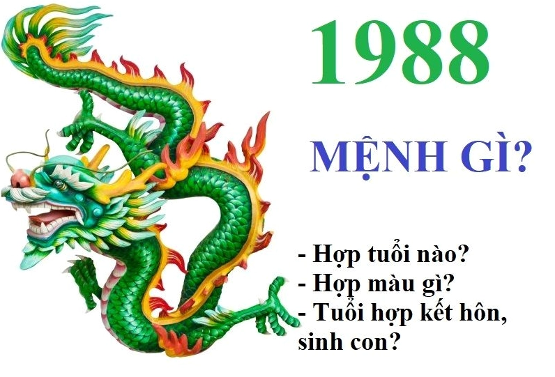 Tuổi Mậu Thìn 1988 hợp màu gì