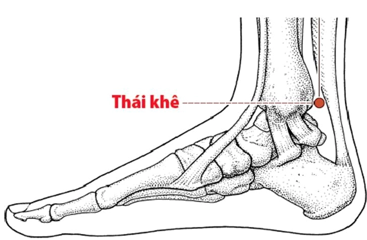 Vị trí huyệt Thái Khê trên chân