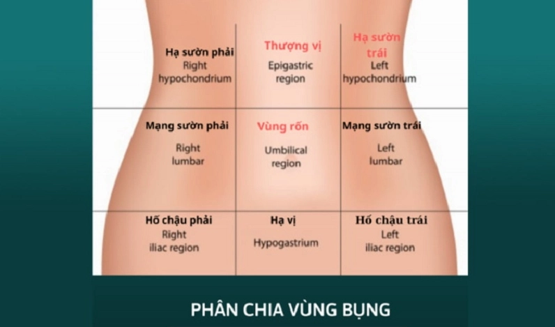 Vị trí vùng thượng vị trên cơ thể