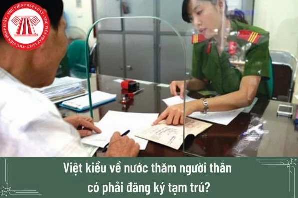 viet-kieu-la-gi-quyen-loi-va-nghia-vu-cua-nguoi-viet-nam-inh_101