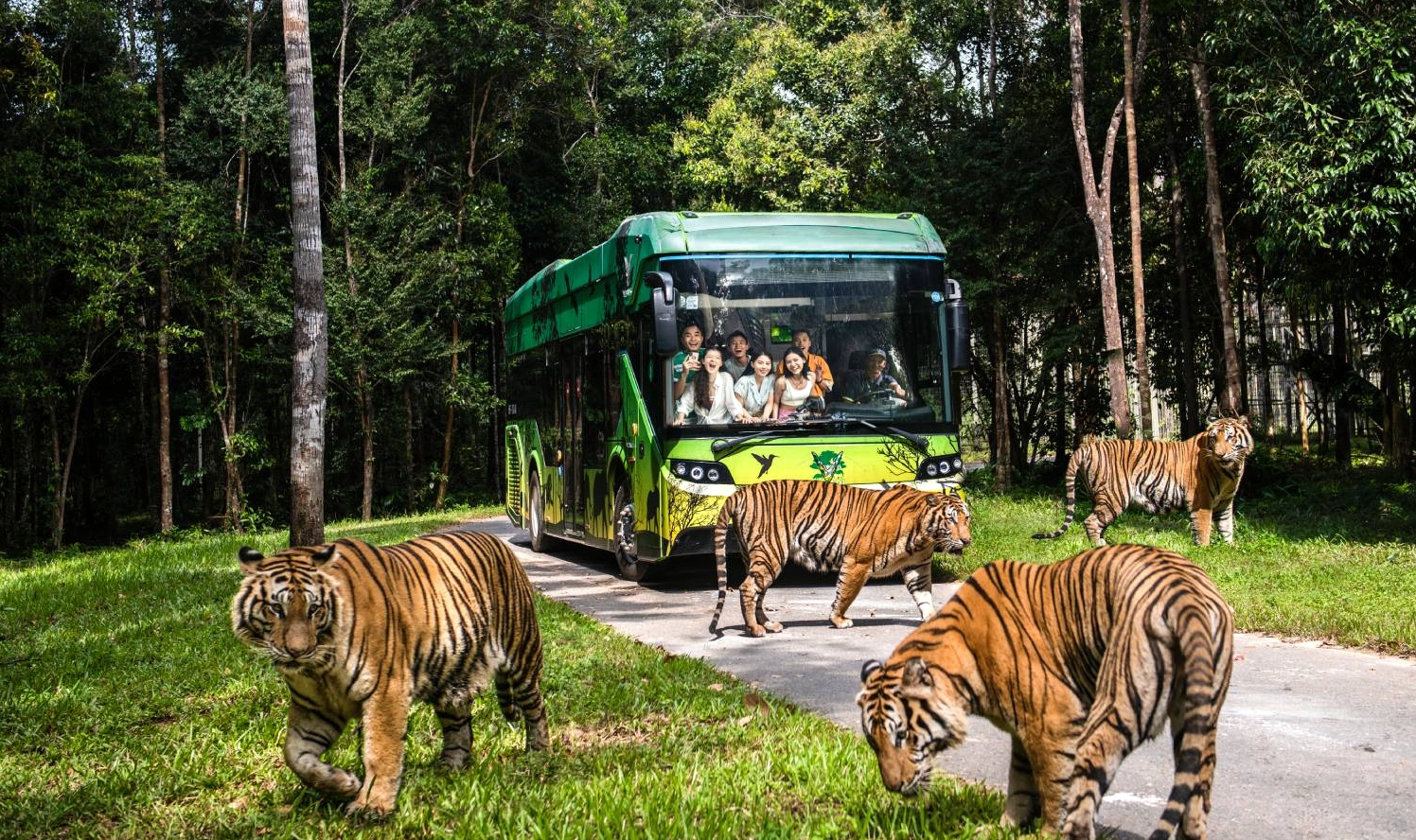 vinpearl-safari-phu-quoc-2026-kham-pha-the-gioi-hoang-da-tuy_251