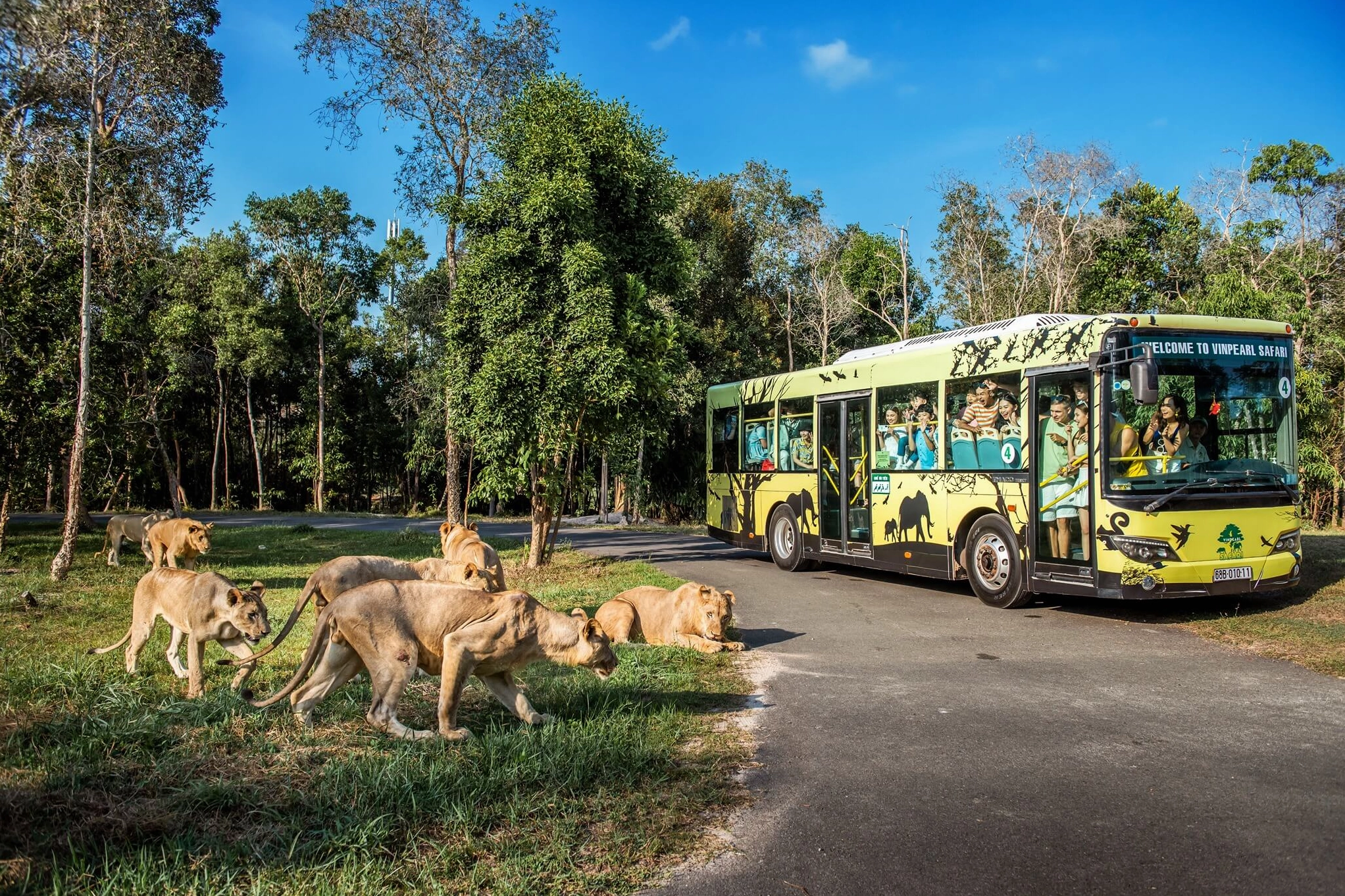 vinpearl-safari-phu-quoc-2026-kham-pha-the-gioi-hoang-da_689