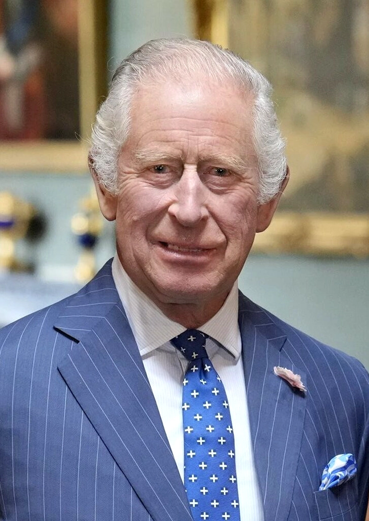 Vua Charles III tại một buổi tiếp kiến