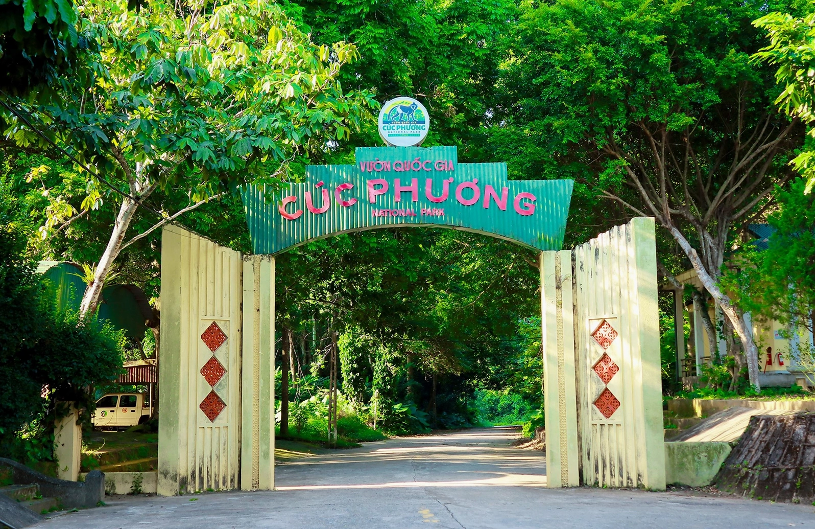 vuon-quoc-gia-cuc-phuong-2026-kham-pha-thien-uong-xanh_637
