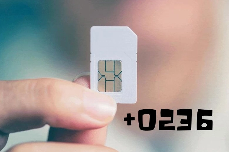 Ý nghĩa đầu số 0236 là mạng gì