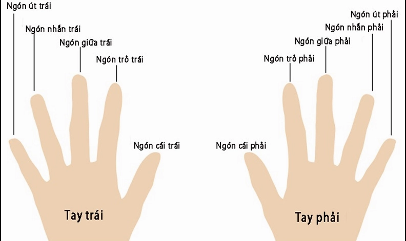 Ý nghĩa các ngón tay đeo nhẫn của nữ
