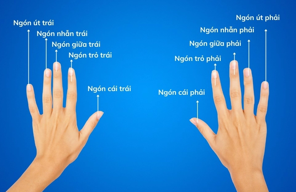 Ý nghĩa đeo nhẫn ngón áp út của nữ