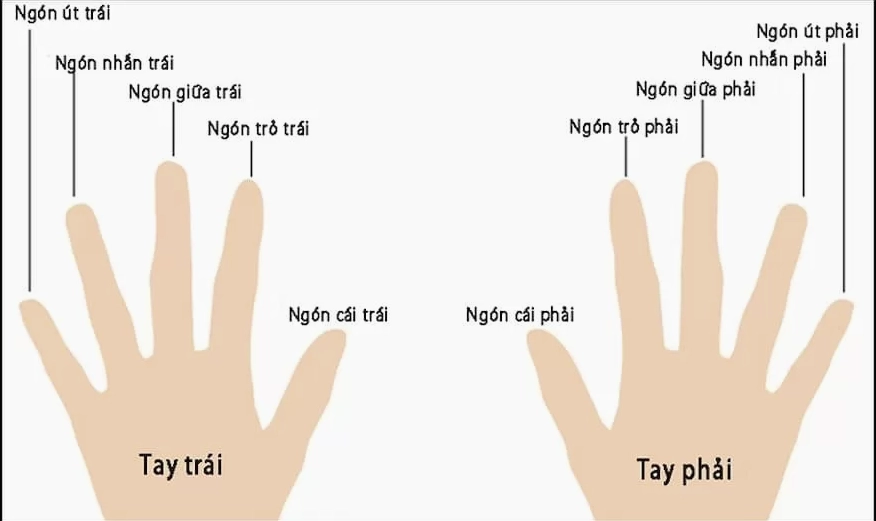 Ý nghĩa đeo nhẫn trên các ngón tay