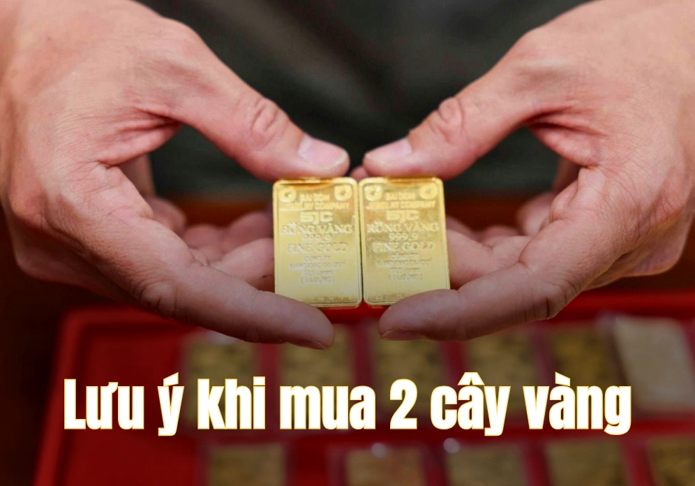 2-cay-vang-bao-nhieu-tien-nam-2026-cap-nhat-moi-nhat_706