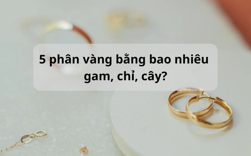 5-phan-vang-18k-bao-nhieu-tien-2026-cap-nhat-moi-nhat_332