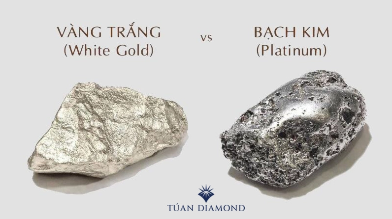 bach-kim-va-vang-au-la-lua-chon-at-gia-hon_314